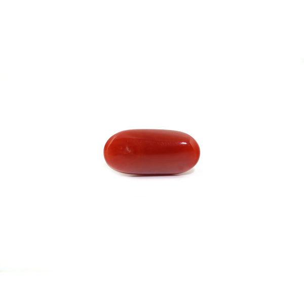 Red Coral - 8.25 Carat