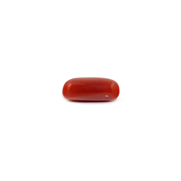 Red Coral - 8.25 Carat