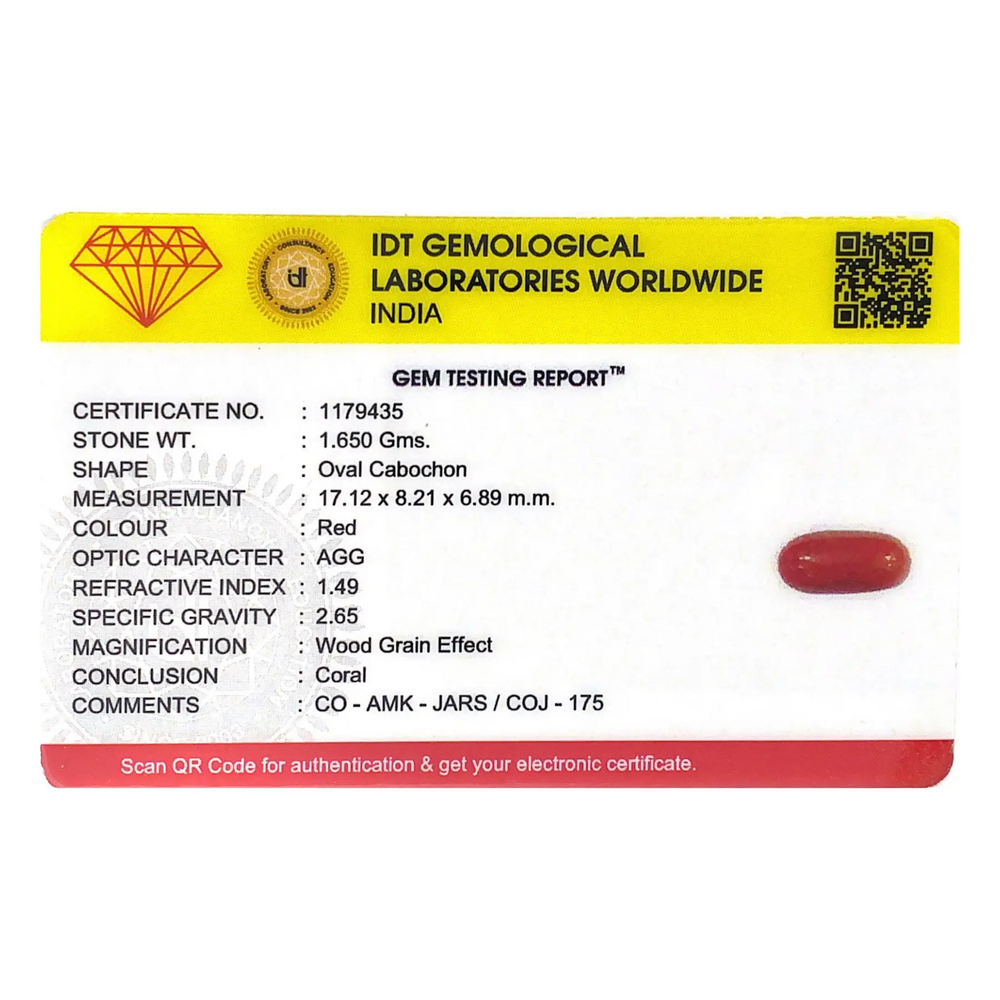Red Coral - 8.25 Carat - Pramogh