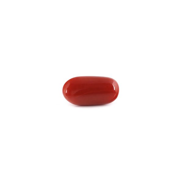 Red Coral - 8.25 Carat