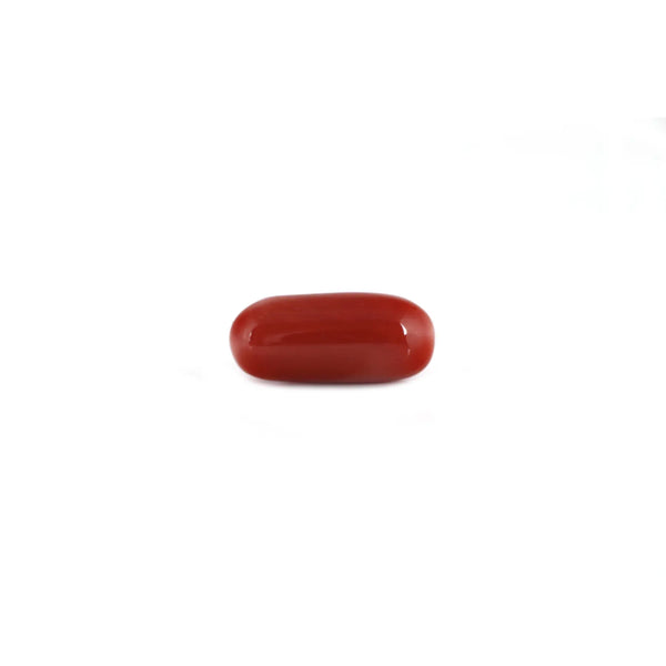 Red Coral - 7.8 Carat