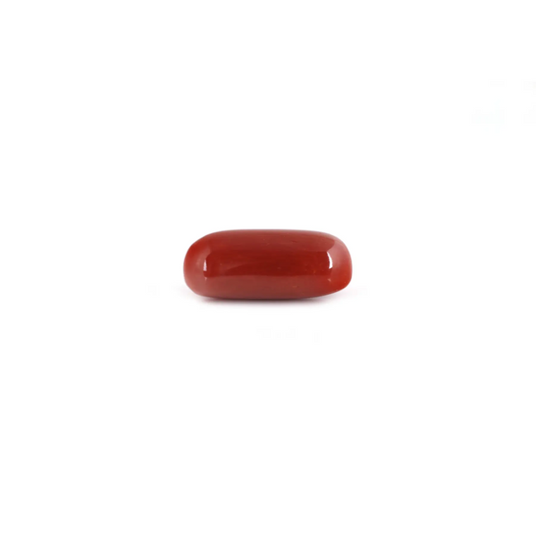 Red Coral - 7.8 Carat