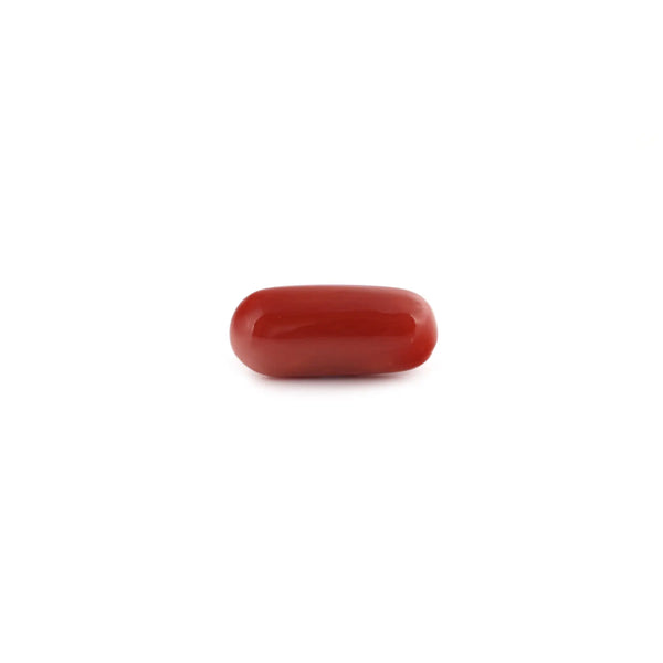 Red Coral - 7.25 Carat