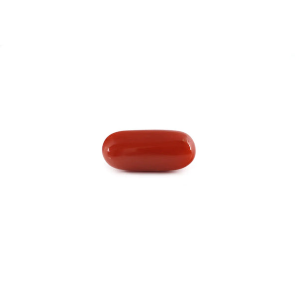 Red Coral - 7.5 Carat