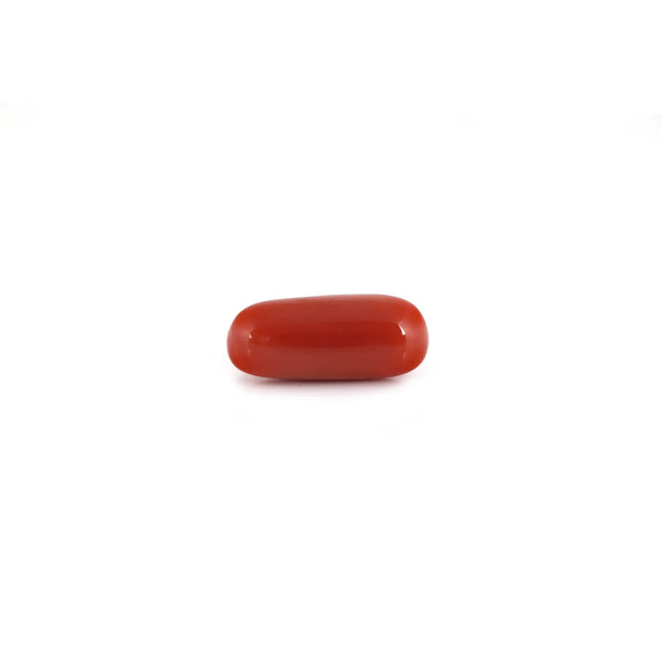 Red Coral - 7.5 Carat