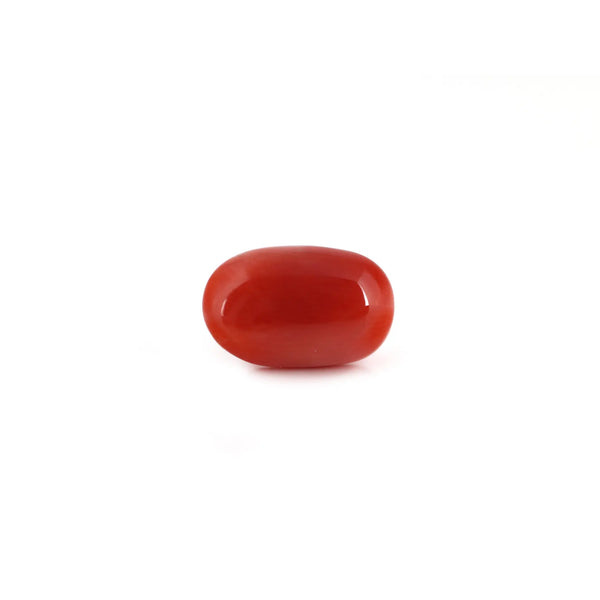 Red Coral - 8.35 Carat