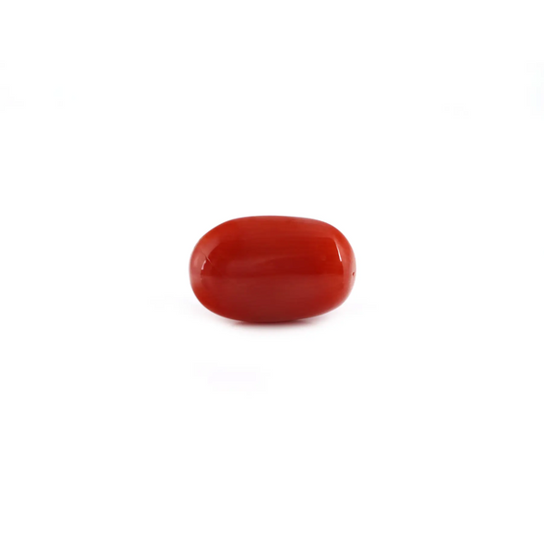 Red Coral - 8.35 Carat