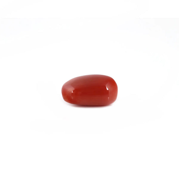 Red Coral - 8.35 Carat