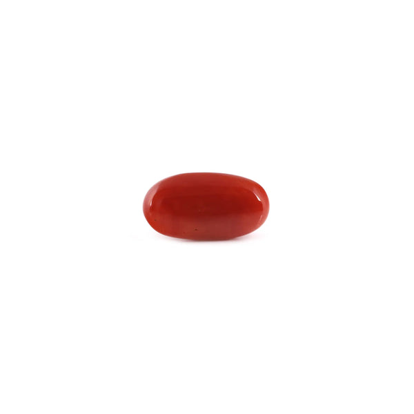 Red Coral - 7.05 Carat