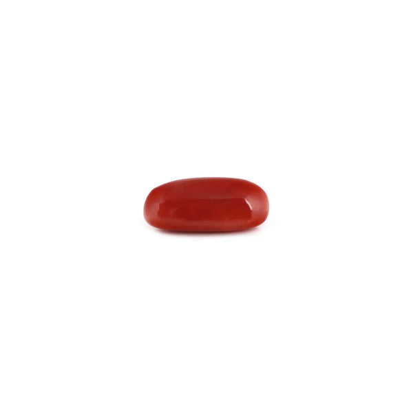 Red Coral - 7.05 Carat