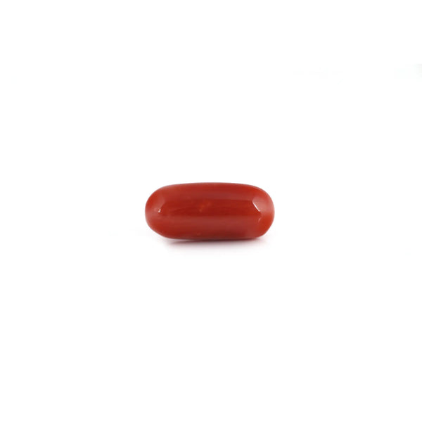 Red Coral - 7.8 Carat