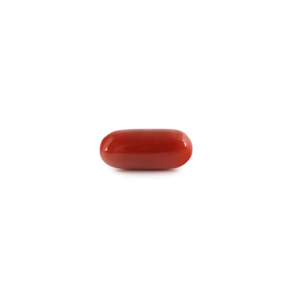 Red Coral - 7.8 Carat