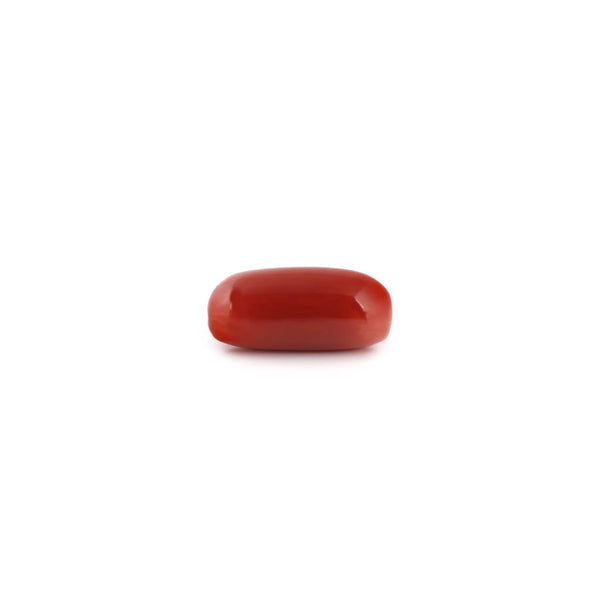 Red Coral - 7.2 Carat