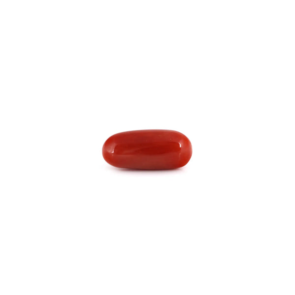 Red Coral - 7.05 Carat