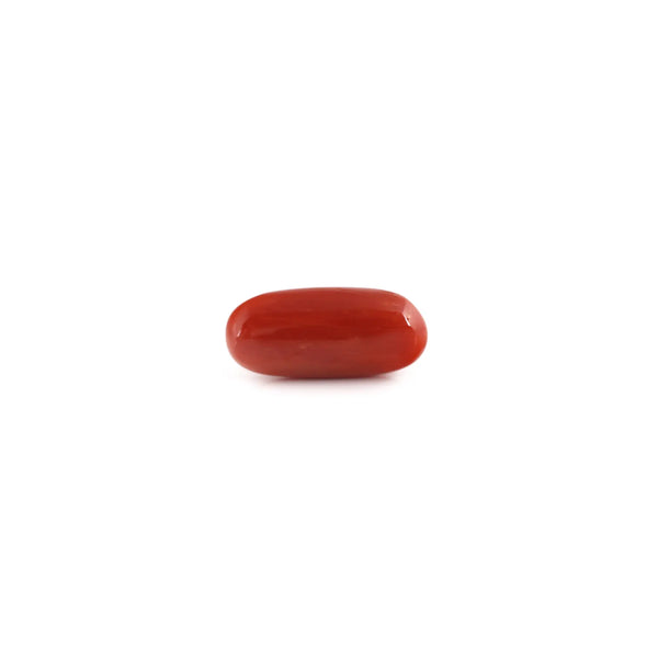 Red Coral - 7.05 Carat