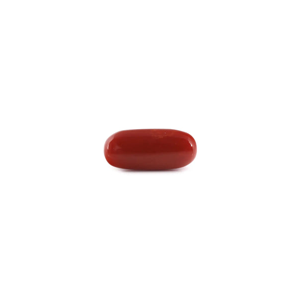 Red Coral - 7.2 Carat