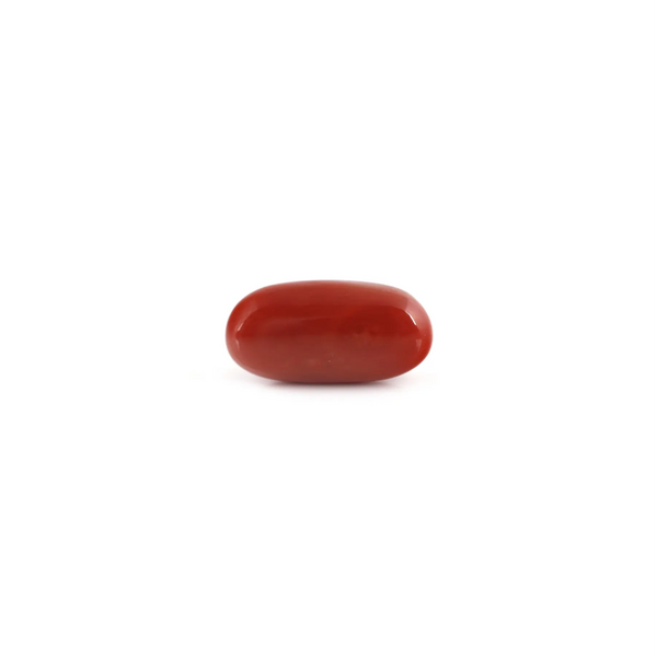 Red Coral - 7.2 Carat