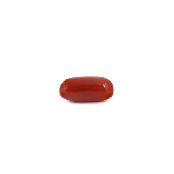 Red Coral - 7.2 Carat