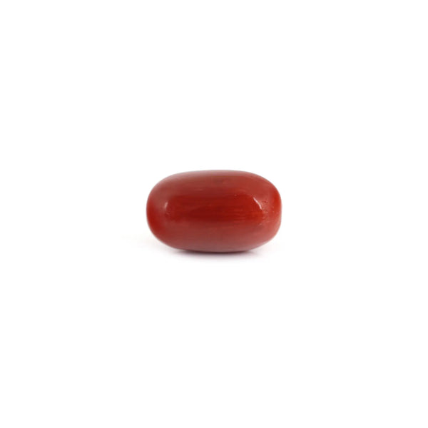 Red Coral - 7.6 Carat