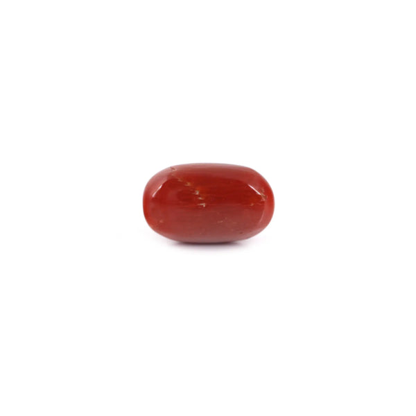 Red Coral - 7.6 Carat