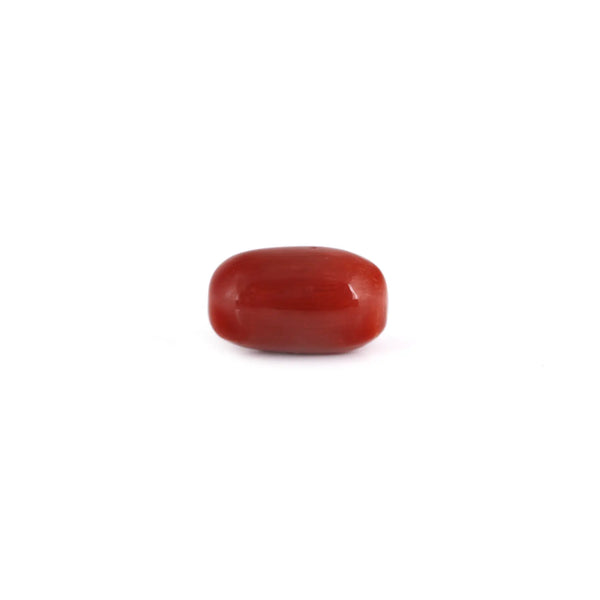 Red Coral - 7.6 Carat