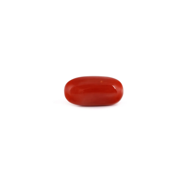 Red Coral - 9.5 Carat