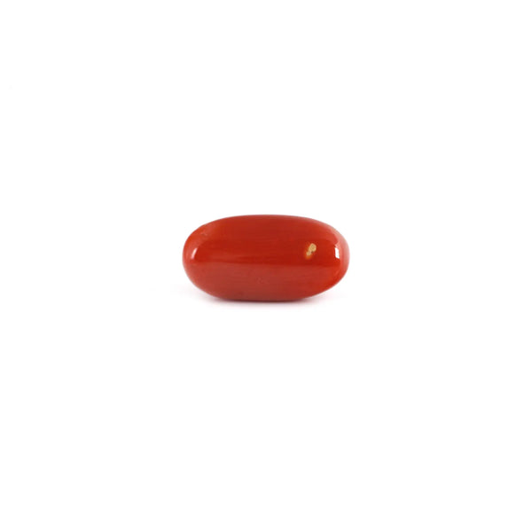 Red Coral - 9.5 Carat