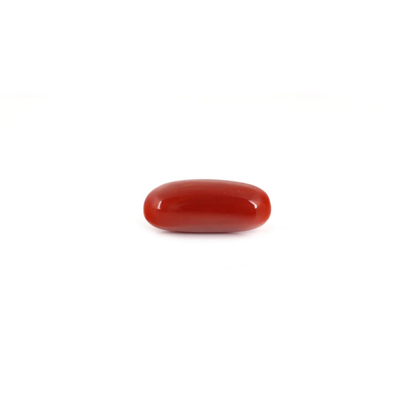 Red Coral - 7.35 Carat