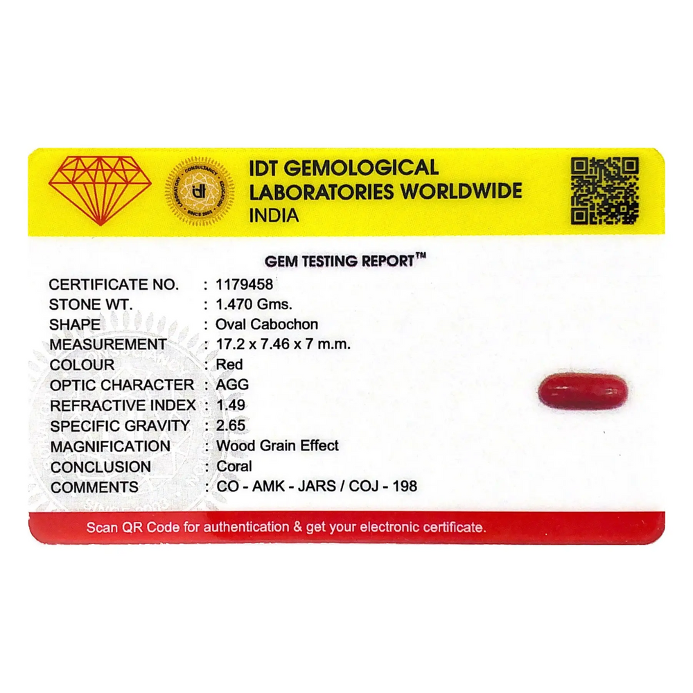 Red Coral - 7.35 Carat - Pramogh