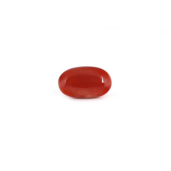 Red Coral - 7.05 Carat