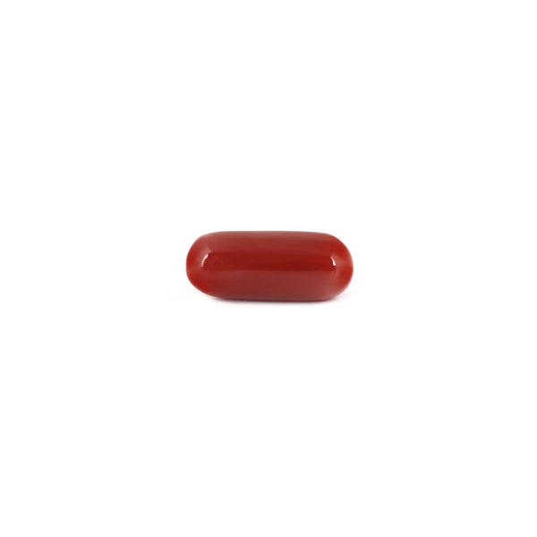 Red Coral - 7.95 Carat - Pramogh