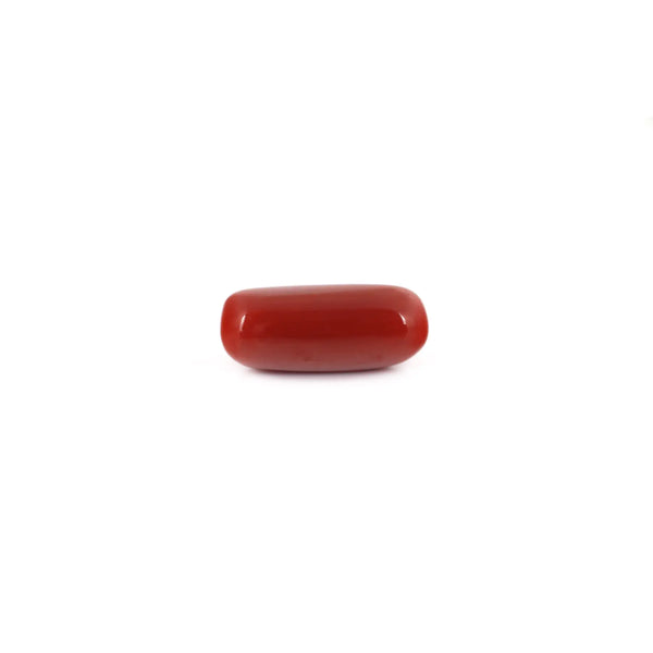 Red Coral - 7.95 Carat - Pramogh