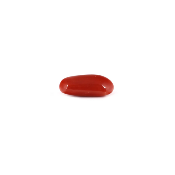 Red Coral - 7.5 Carat