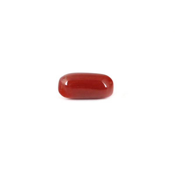 Red Coral - 8.25 Carat