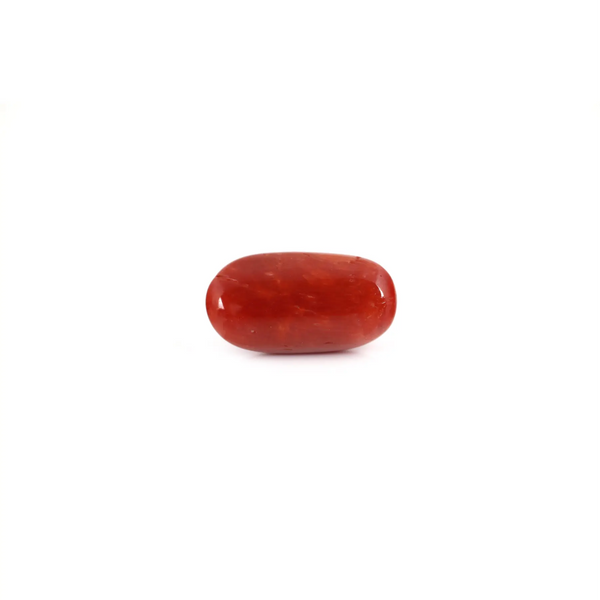 Red Coral - 7.45 Carat