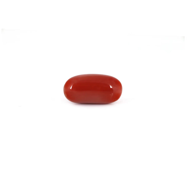 Red Coral - 10.15 Carat