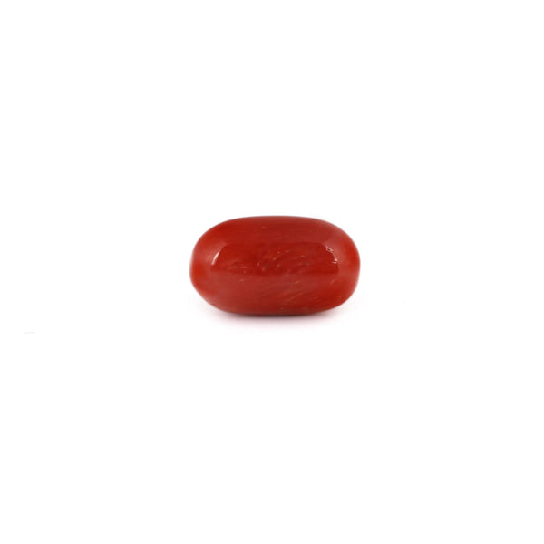 Red Coral - 8.6 Carat