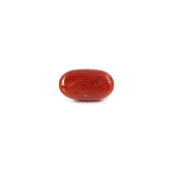 Red Coral - 8.6 Carat