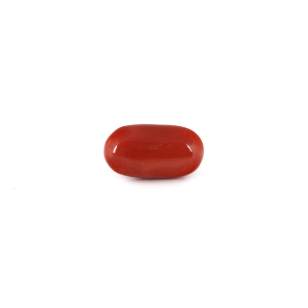 Red Coral - 7.7 Carat