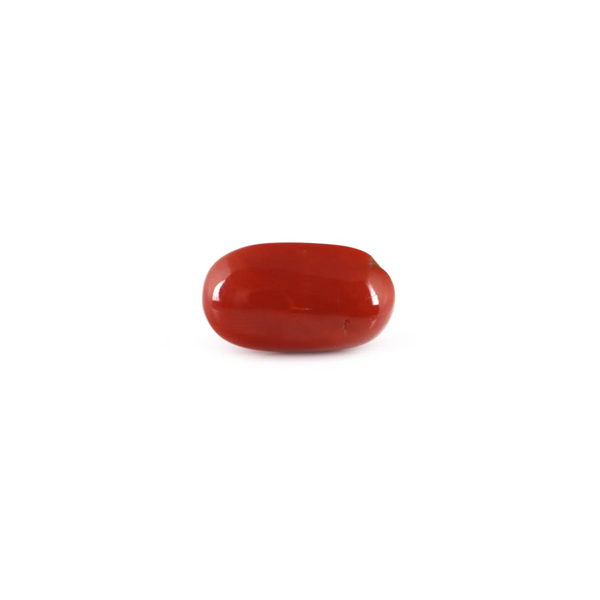 Red Coral - 7.7 Carat