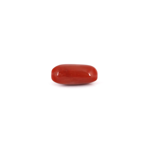 Red Coral - 7.7 Carat