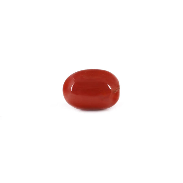 Red Coral - 7.2 Carat