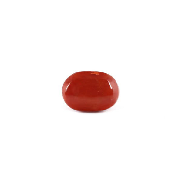 Red Coral - 7.2 Carat