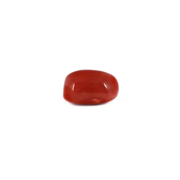 Red Coral - 7.2 Carat