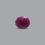 African Ruby - 3.8 Carat - Pramogh