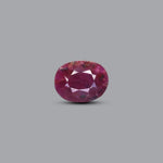 African Ruby - 4.2 Carat - Pramogh