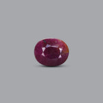 African Ruby - 4.05 Carat - Pramogh