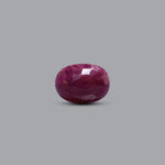 African Ruby - 3.9 Carat - Pramogh