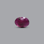 African Ruby - 3.2 Carat - Pramogh