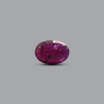 African Ruby - 3.6 Carat - Pramogh